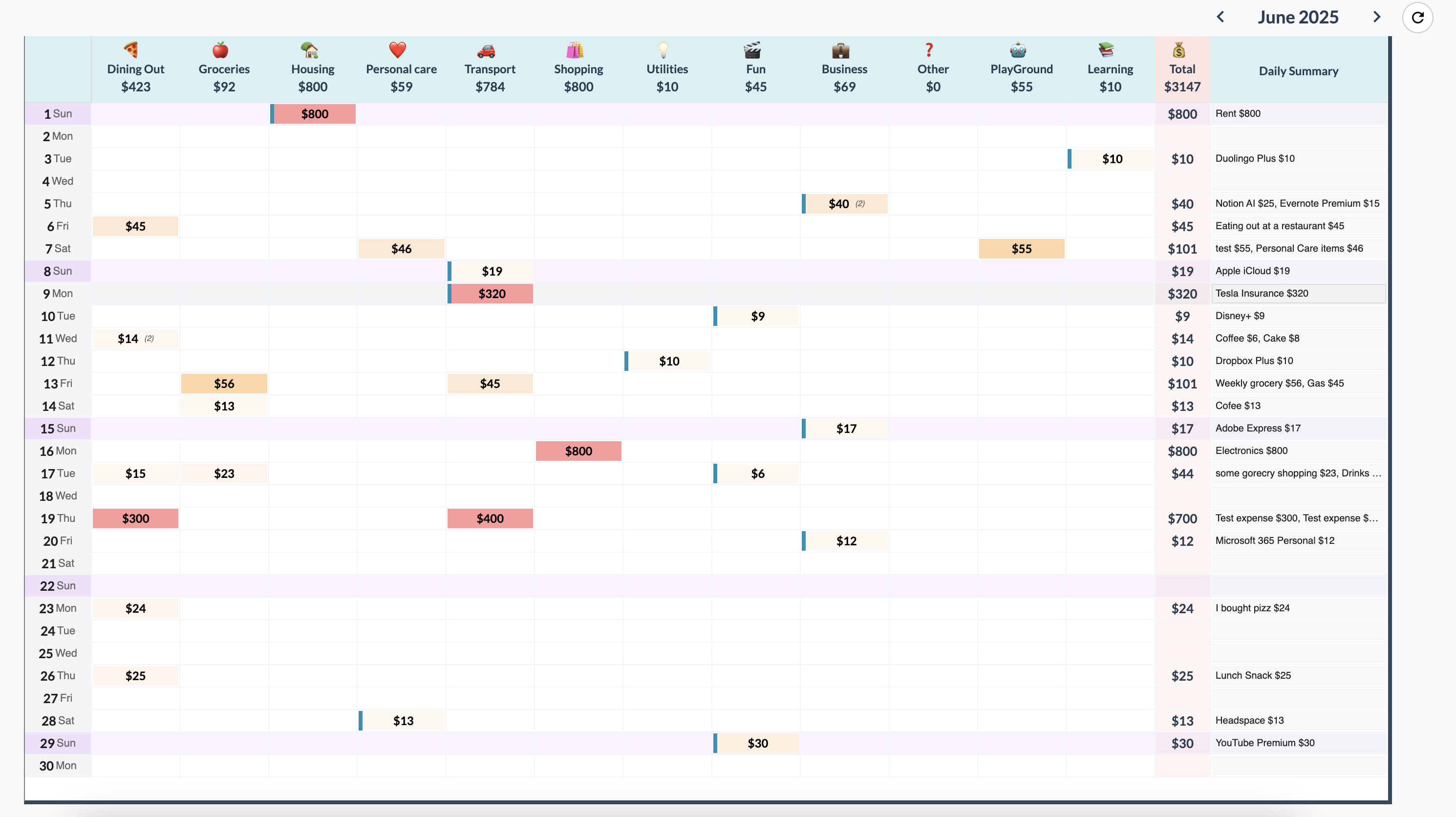 Expense Grid Interface